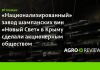 «Национализированный» завод шампанских вин «Новый свет» в Крыму сделали акционерным обществом