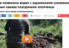 Фейк российских новостей: украинские военные закопали «ополченца» живым