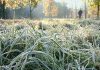 Крымчан предупредили о заморозках в ближайшие три дня