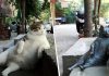 В Стамбуле украли скульптуру кота Томбили